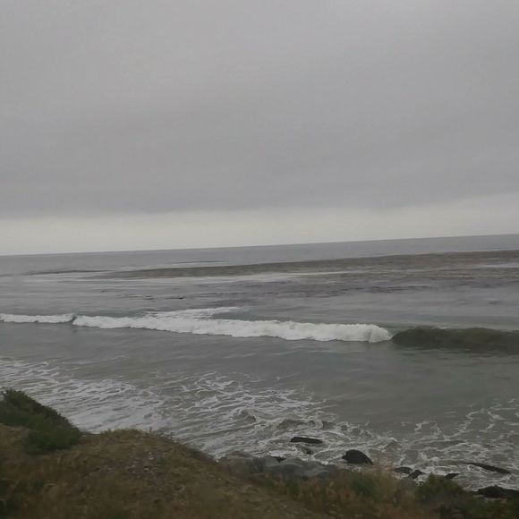 Meet your Posher, Matthew - Picture 1 of 1